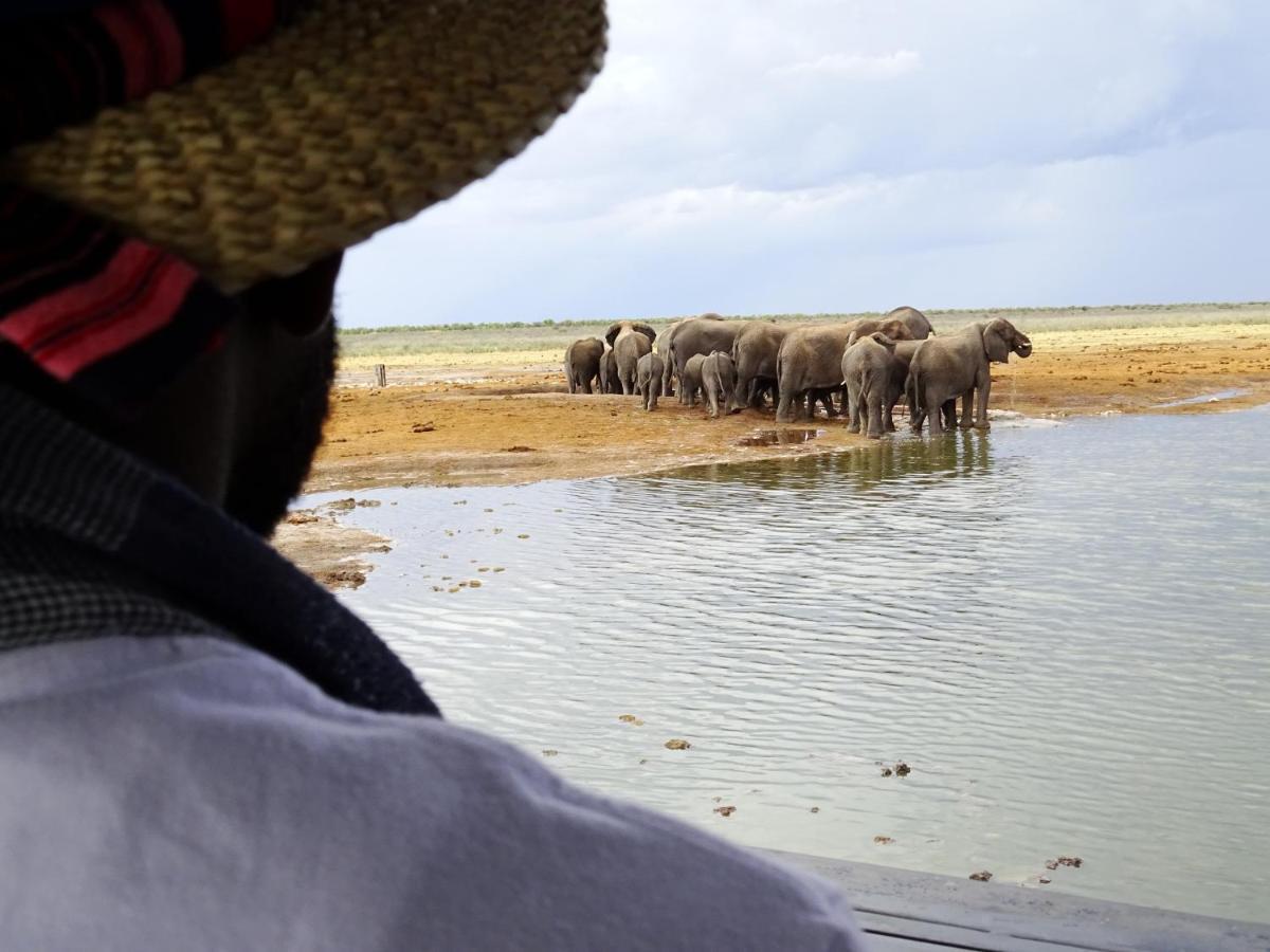 Omuthiya Etosha King Nehaleヴィラ エクステリア 写真
