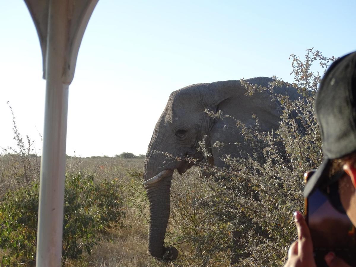 Omuthiya Etosha King Nehaleヴィラ エクステリア 写真